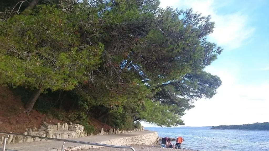 Apartman Zlatko, Palit, Rab 0*, Palit